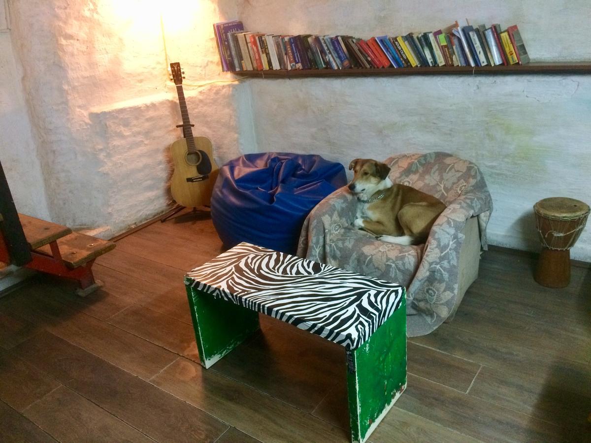 Green Studio Hostel Belgrado Esterno foto